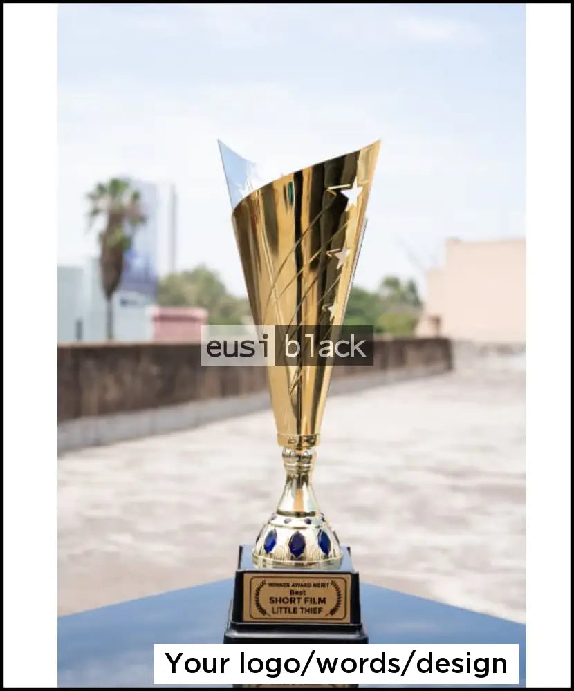 Bisect Two tone trophy award - 38cm