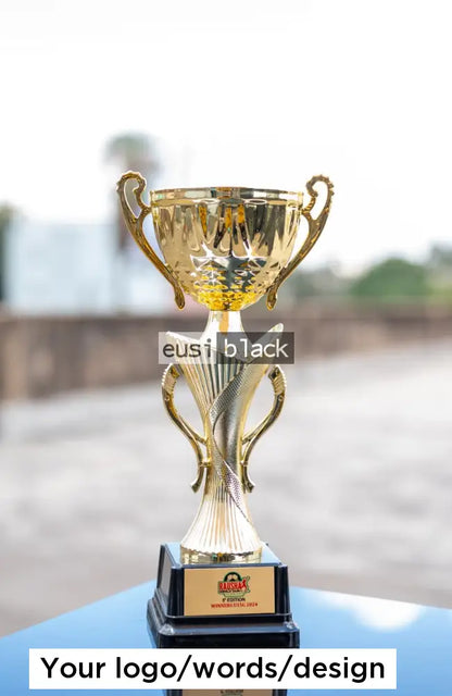 Double hands trophy cup award - 30cm