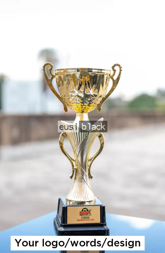 Double hands trophy cup award - 30cm