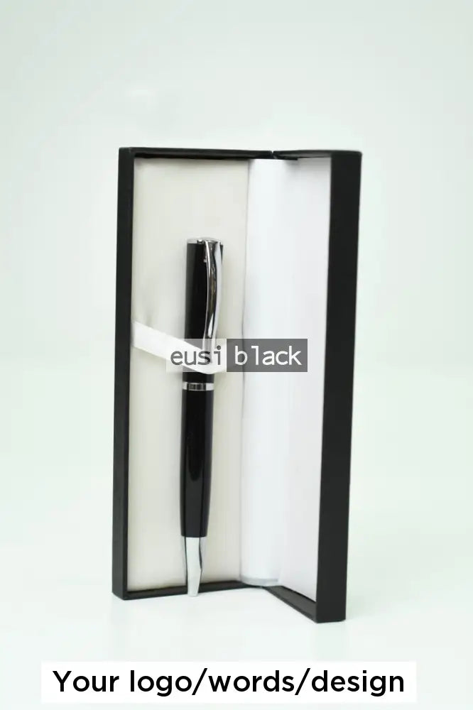 Executive twist pen in case Silver on black