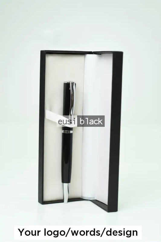 Executive twist pen in case Silver on black