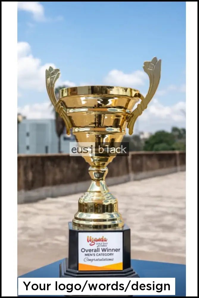 Open threaded trophy cup award - 40cm