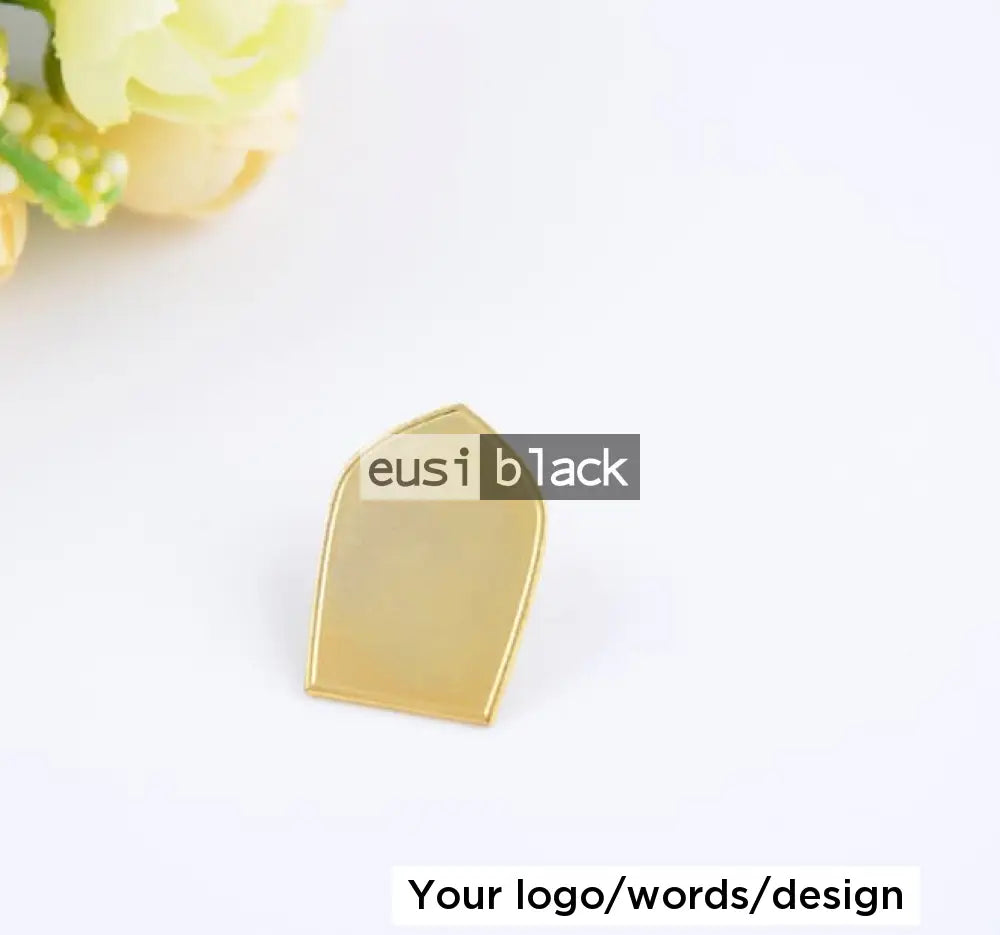 Shield shape lapel pin
