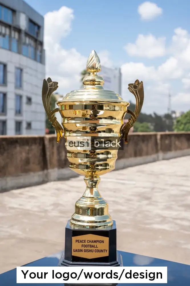 Threaded trophy cup award - 45cm