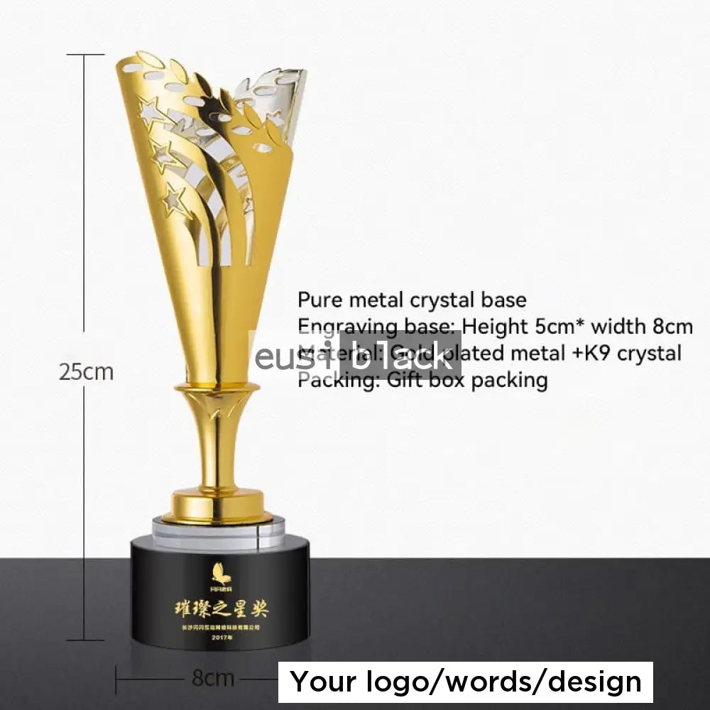 Two tone trophy award - 25cm