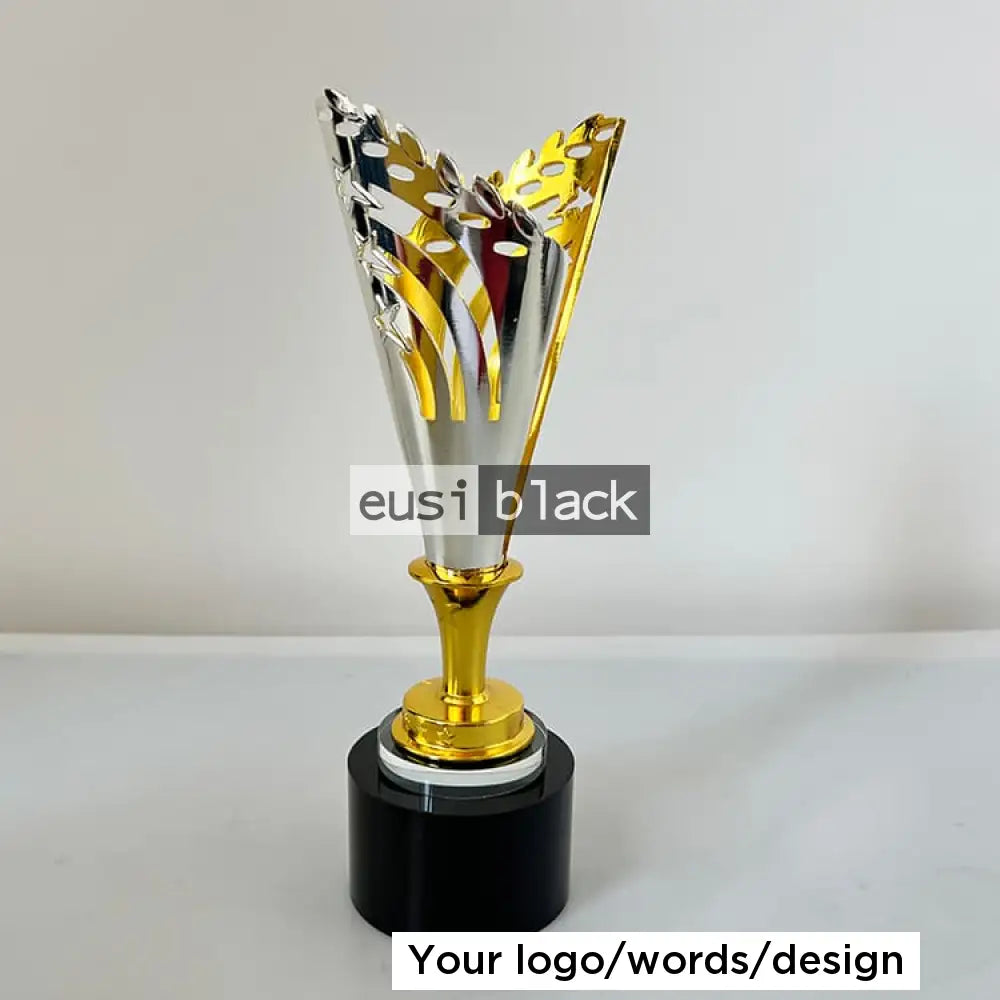 Two tone trophy award - 25cm